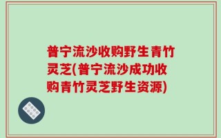 普宁流沙收购野生青竹灵芝(普宁流沙成功收购青竹灵芝野生资源)