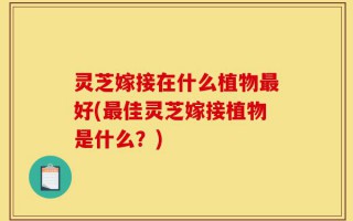 灵芝嫁接在什么植物最好(最佳灵芝嫁接植物是什么？)