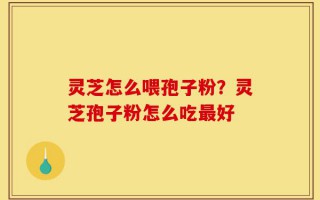 灵芝怎么喂孢子粉？灵芝孢子粉怎么吃最好