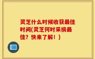 灵芝什么时候收获最佳时间(灵芝何时采摘最佳？快来了解！)