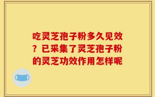 吃灵芝孢子粉多久见效？已采集了灵芝孢子粉的灵芝功效作用怎样呢