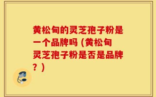 黄松甸的灵芝孢子粉是一个品牌吗 (黄松甸灵芝孢子粉是否是品牌？)