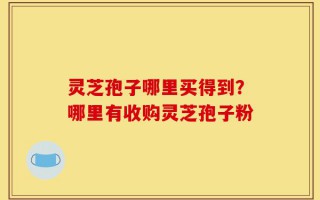 灵芝孢子哪里买得到？哪里有收购灵芝孢子粉