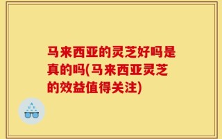 马来西亚的灵芝好吗是真的吗(马来西亚灵芝的效益值得关注)