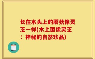长在木头上的蘑菇像灵芝一样(木上菌像灵芝：神秘的自然珍品)