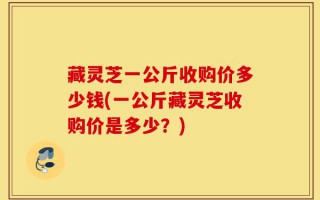 藏灵芝一公斤收购价多少钱(一公斤藏灵芝收购价是多少？)