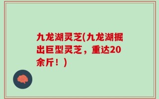 九龙湖灵芝(九龙湖掘出巨型灵芝，重达20余斤！)