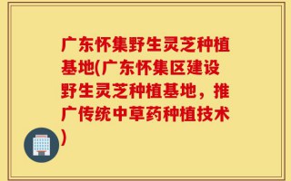 广东怀集野生灵芝种植基地(广东怀集区建设野生灵芝种植基地，推广传统中草药种植技术)