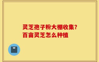 灵芝孢子粉大棚收集？百亩灵芝怎么种植