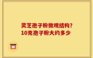 灵芝孢子粉微观结构？10克孢子粉大约多少