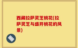 西藏拉萨灵芝桃花(拉萨灵芝与盛开桃花的风景)