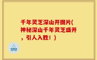 千年灵芝深山开图片(神秘深山千年灵芝盛开，引人入胜！)