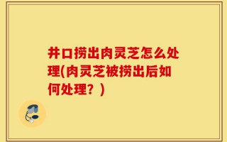 井口捞出肉灵芝怎么处理(肉灵芝被捞出后如何处理？)
