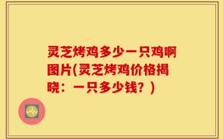 灵芝烤鸡多少一只鸡啊图片(灵芝烤鸡价格揭晓：一只多少钱？)