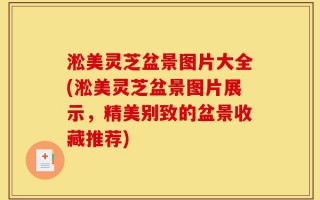 淞美灵芝盆景图片大全(淞美灵芝盆景图片展示，精美别致的盆景收藏推荐)