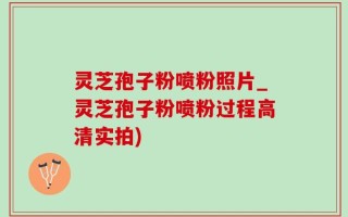 灵芝孢子粉喷粉照片_灵芝孢子粉喷粉过程高清实拍)