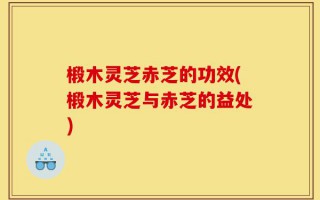 椴木灵芝赤芝的功效(椴木灵芝与赤芝的益处)