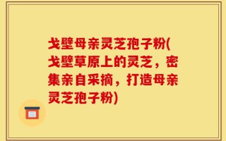 戈壁母亲灵芝孢子粉(戈壁草原上的灵芝，密集亲自采摘，打造母亲灵芝孢子粉)