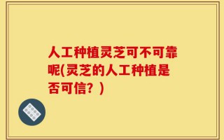 人工种植灵芝可不可靠呢(灵芝的人工种植是否可信？)