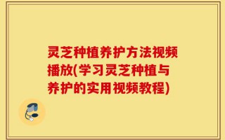 灵芝种植养护方法视频播放(学习灵芝种植与养护的实用视频教程)