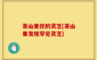 茶山里挖的灵芝(茶山里发现罕见灵芝)