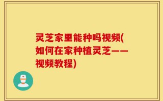灵芝家里能种吗视频(如何在家种植灵芝——视频教程)