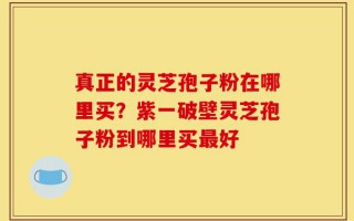 真正的灵芝孢子粉在哪里买？紫一破壁灵芝孢子粉到哪里买最好