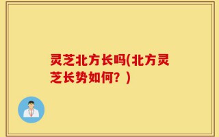 灵芝北方长吗(北方灵芝长势如何？)