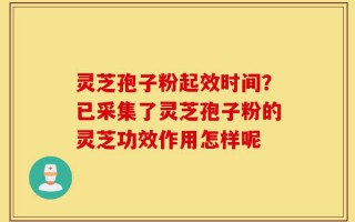 灵芝孢子粉起效时间？已采集了灵芝孢子粉的灵芝功效作用怎样呢