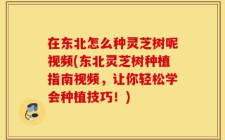 在东北怎么种灵芝树呢视频(东北灵芝树种植指南视频，让你轻松学会种植技巧！)