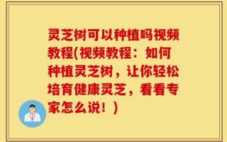 灵芝树可以种植吗视频教程(视频教程：如何种植灵芝树，让你轻松培育健康灵芝，看看专家怎么说！)