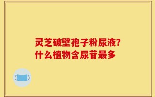 灵芝破壁孢子粉尿液？什么植物含尿苷最多