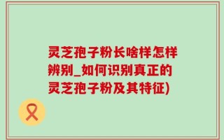 灵芝孢子粉长啥样怎样辨别_如何识别真正的灵芝孢子粉及其特征)