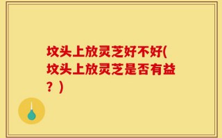 坟头上放灵芝好不好(坟头上放灵芝是否有益？)