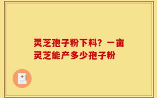 灵芝孢子粉下料？一亩灵芝能产多少孢子粉