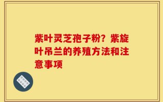 紫叶灵芝孢子粉？紫旋叶吊兰的养殖方法和注意事项