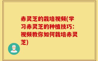 赤灵芝的栽培视频(学习赤灵芝的种植技巧：视频教你如何栽培赤灵芝)