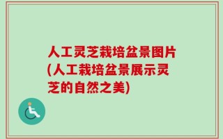 人工灵芝栽培盆景图片(人工栽培盆景展示灵芝的自然之美)