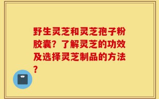 野生灵芝和灵芝孢子粉胶囊？了解灵芝的功效及选择灵芝制品的方法？