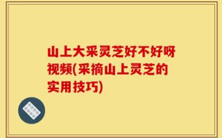山上大采灵芝好不好呀视频(采摘山上灵芝的实用技巧)