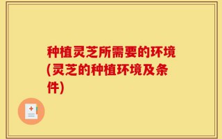 种植灵芝所需要的环境(灵芝的种植环境及条件)