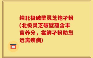 纯北极破壁灵芝饱孑粉(北极灵芝破壁蕴含丰富养分，尝鲜孑粉助您远离疾病)