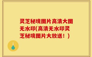 灵芝秘境图片高清大图无水印(高清无水印灵芝秘境图片大放送！)