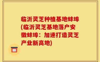临沂灵芝种植基地蚌埠(临沂灵芝基地落户安徽蚌埠：加速打造灵芝产业新高地)