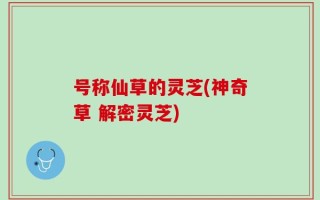 号称仙草的灵芝(神奇草 解密灵芝)