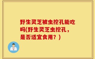 野生灵芝被虫挖孔能吃吗(野生灵芝虫挖孔，是否适宜食用？)