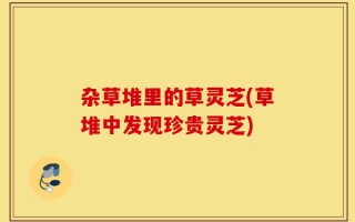杂草堆里的草灵芝(草堆中发现珍贵灵芝)