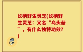 长柄野生灵芝(长柄野生灵芝：又名“乌头菇”，有什么独特功效？)
