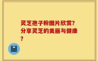 灵芝孢子粉图片欣赏？分享灵芝的美丽与健康？
