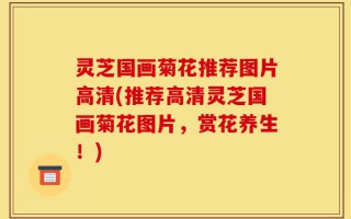 灵芝国画菊花推荐图片高清(推荐高清灵芝国画菊花图片，赏花养生！)